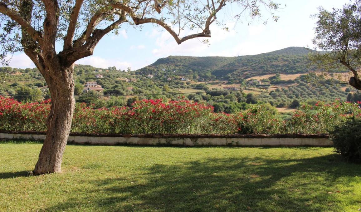 B&B Kapi Country Alghero Exterior photo